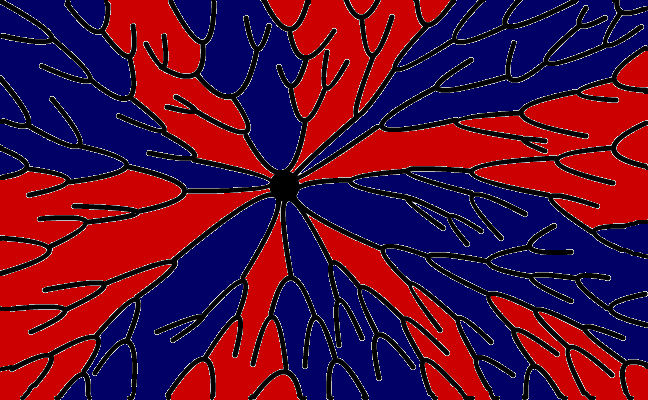 Spider Web