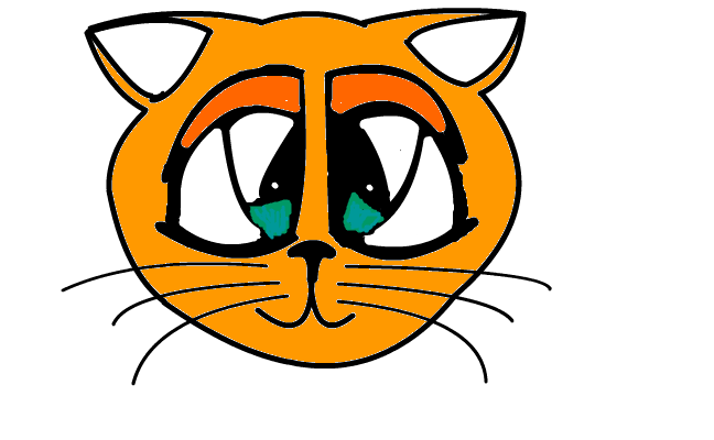 Katt N1