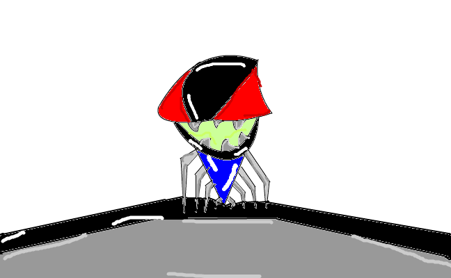 spider)(robot