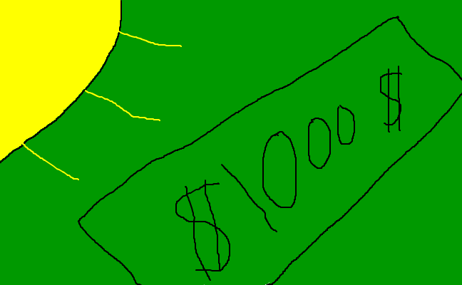 Bara 1000 dollar