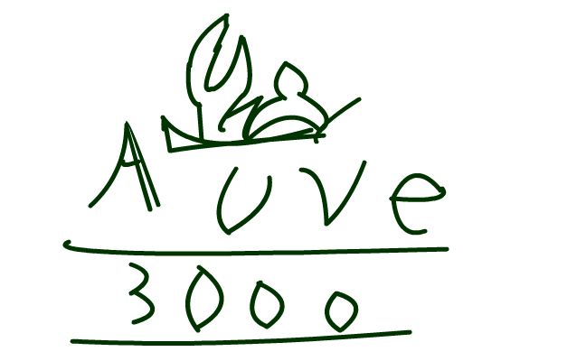 avve 3000