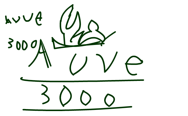 avve 3000 avve 3000