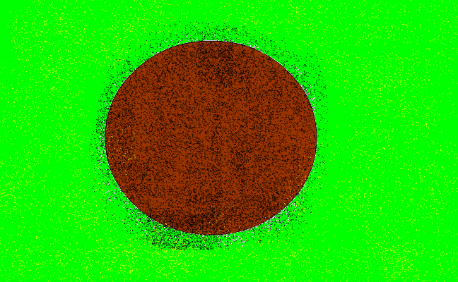 kiwi ala kiwi