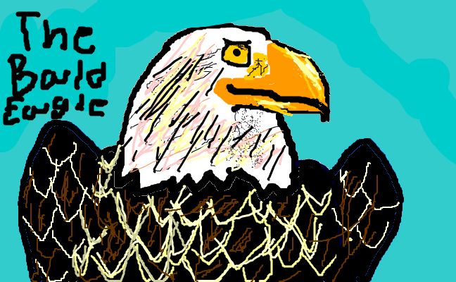 The Bald Eagle