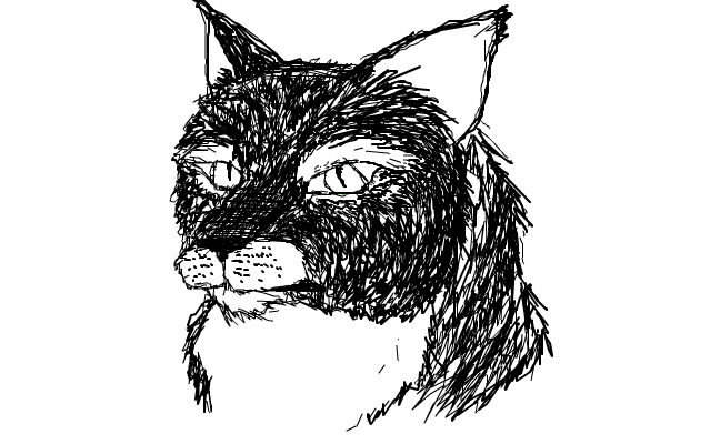 katt