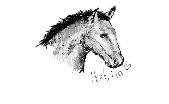 häst
