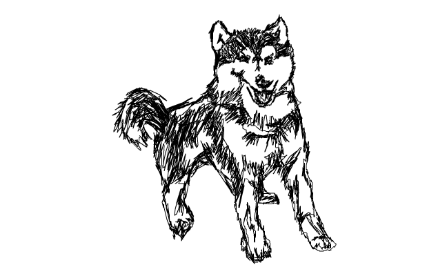 hund ^^