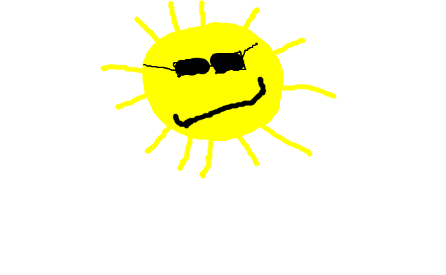 SOLEN