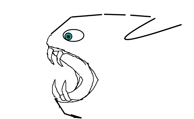 asdasdasd