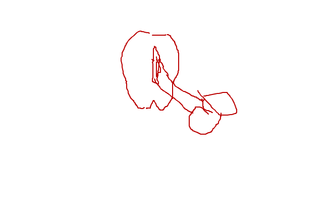 fitta
