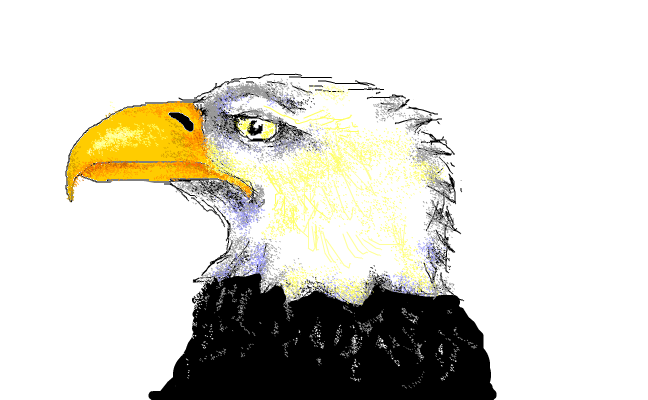 Eagle