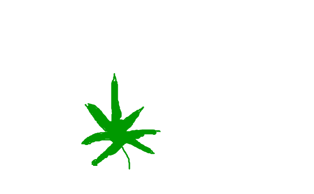 hasch