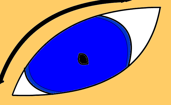 öga