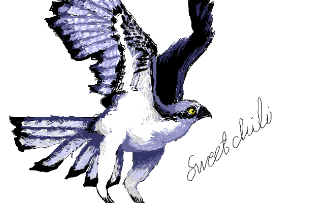 fly
