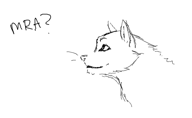 katt