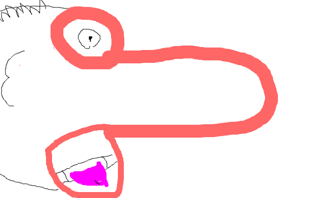 gubbe