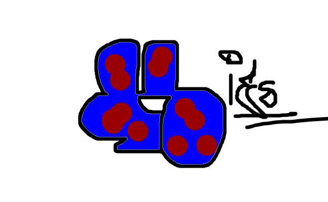 kiez!