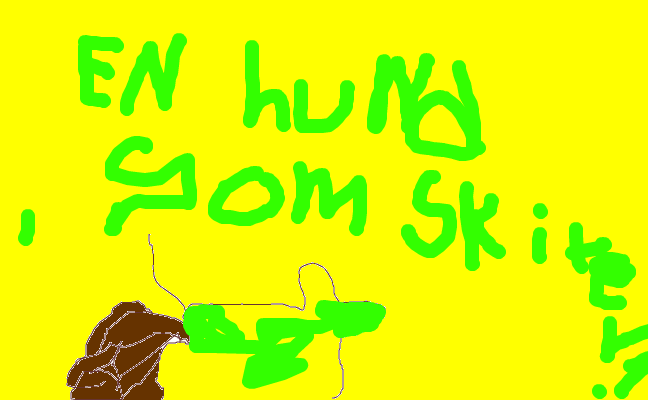 hunden som skiter