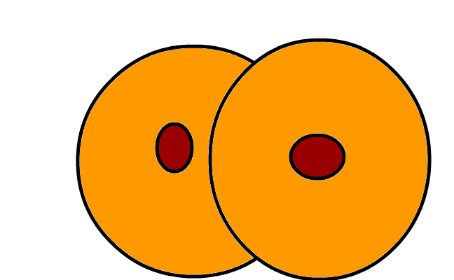 stekta boobies