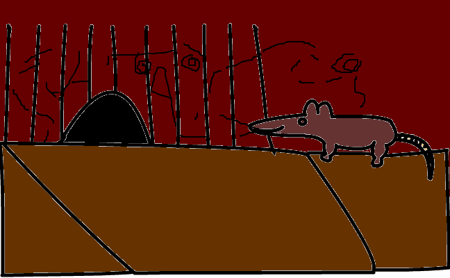 musen bert