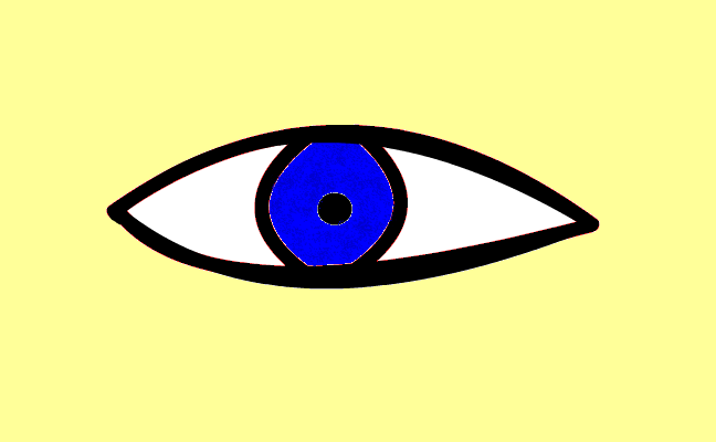 Öga
