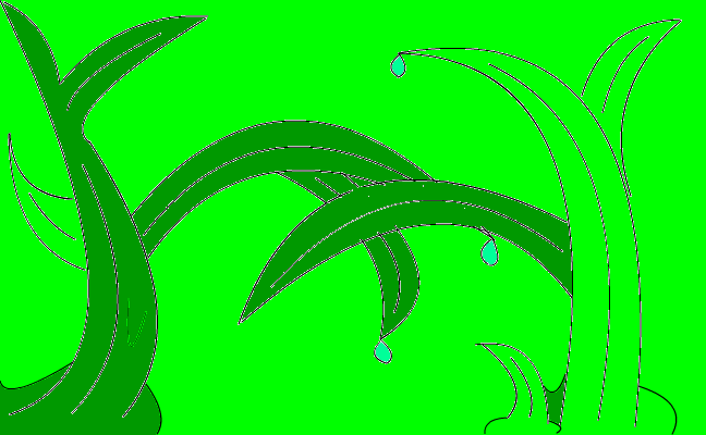 grass