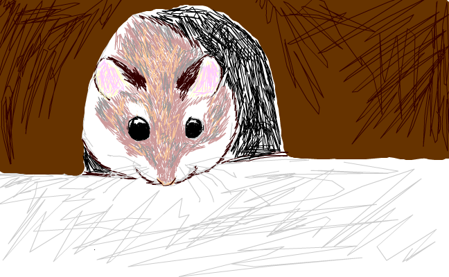 Hamster