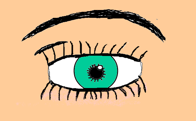 Öga