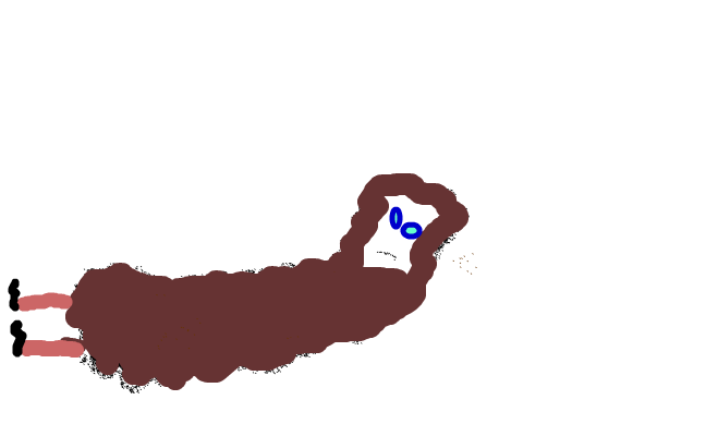 bajs