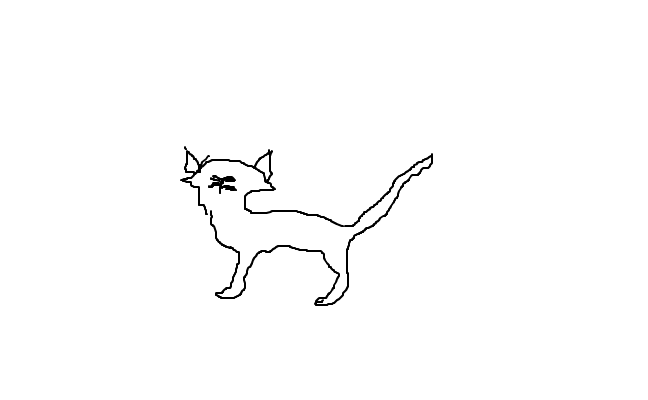 katt