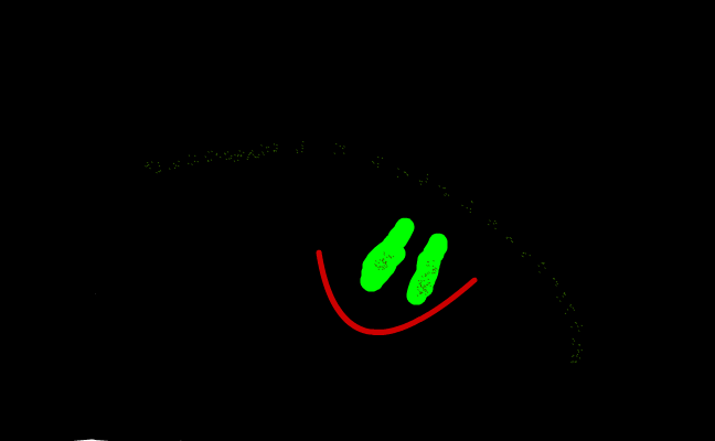 smilie