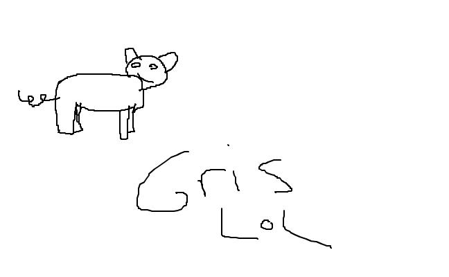 grissen grisi gris :
