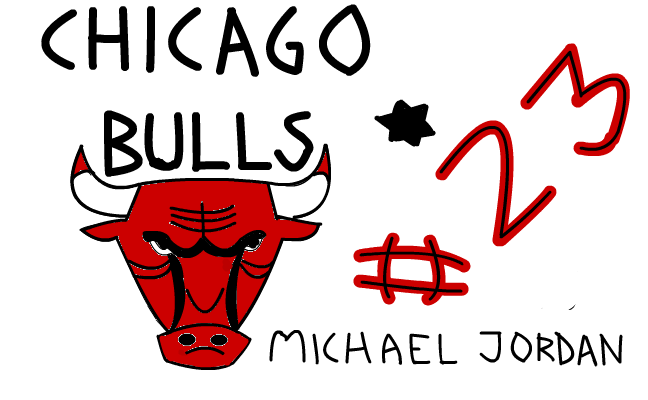 chicago bulls
