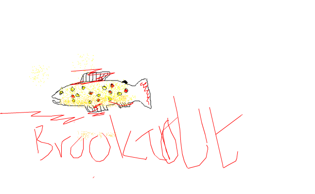 brook trout