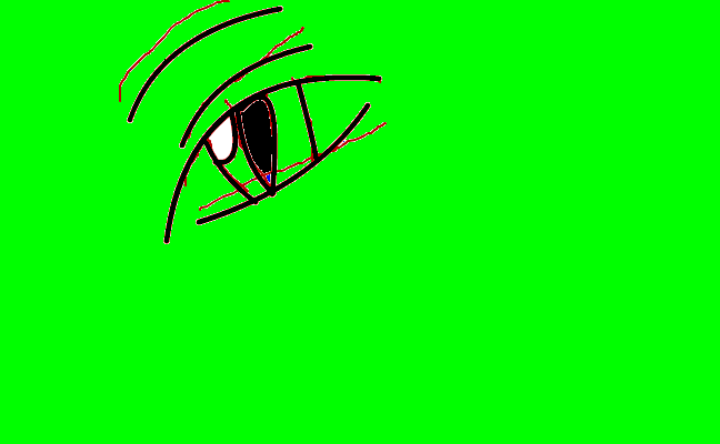 eye