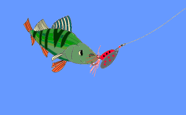 The Catch