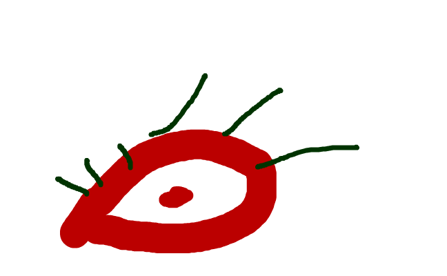 öga