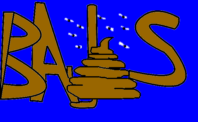 Bajs