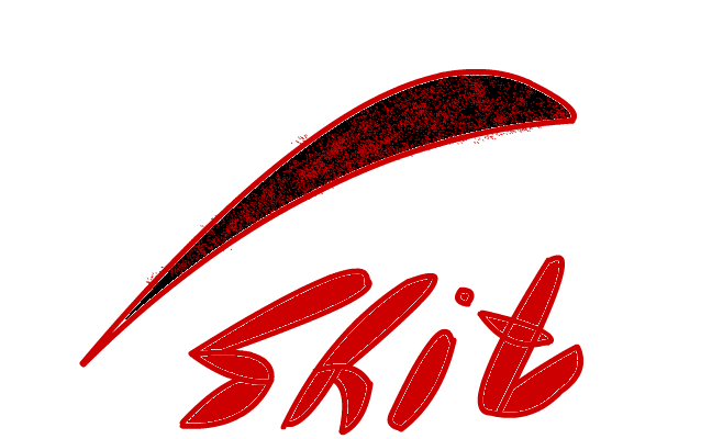 Bild Shit