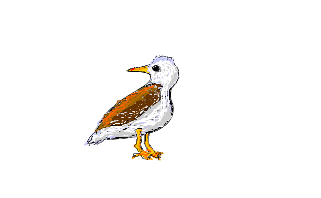 Birdy