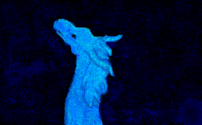 Saphira