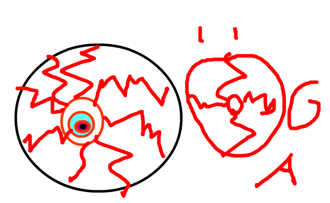 öga ÖGA öga ÖGA ögaa