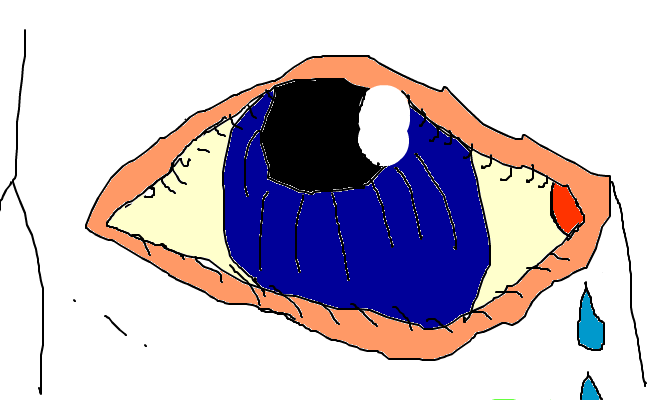THe eye