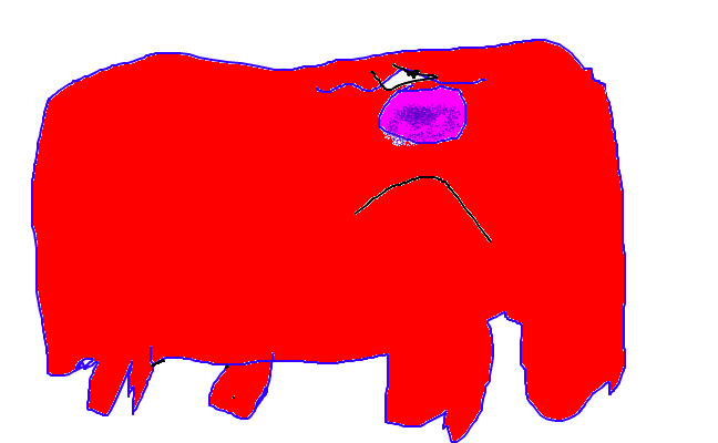 björn