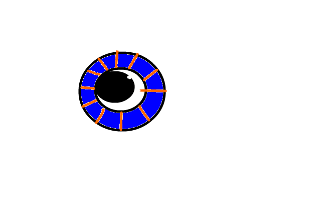 eye