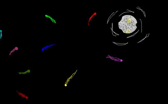 gissa vad deta är