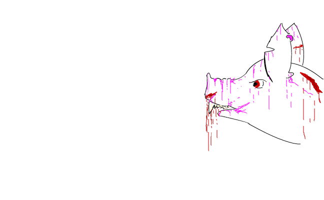 pig