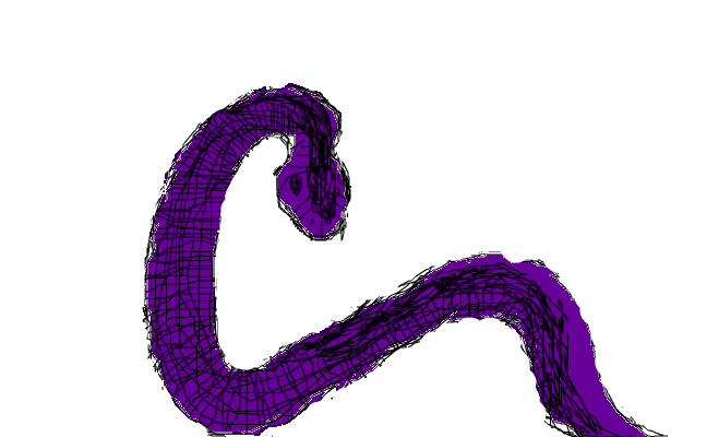 snake