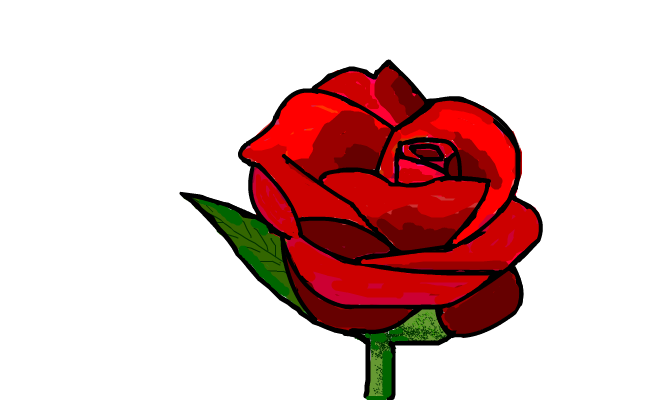 Red Rose