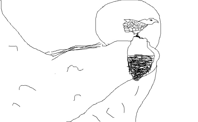 Örn